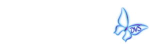 Domestic Violence Services, Inc